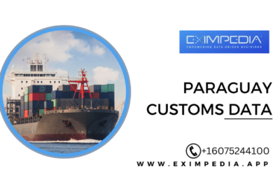 Paraguay-Customs-Data-1