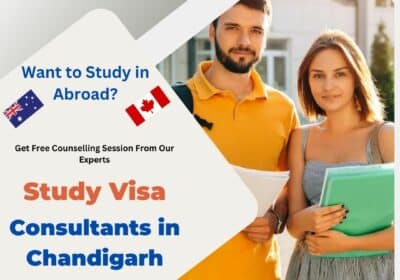 Study-visa-consultants-in-chandigarh