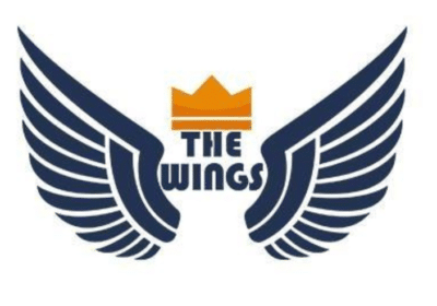 Top Digital Marketing Company in New Delhi | The Wings India
