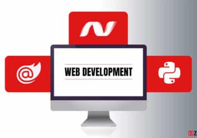 Top Web Development Company in USA | Zenesys