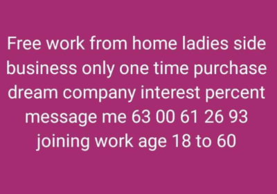 Work From Home For Ladies