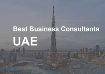 Find Top Experts Business Setup Consultants in Dubai | DcciInfo.ae