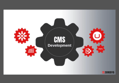Best CMS Development Company in USA | Zenesys