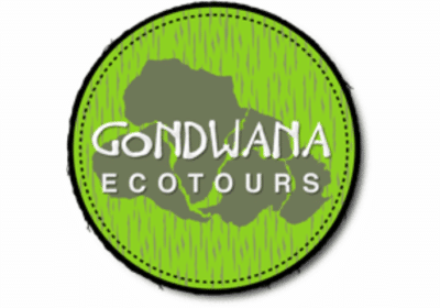 Alaska Bear Tours | Gondwana Ecotours