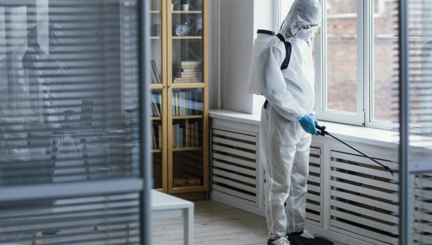 Top Pest Control Services in Mumbai | OyeBusy