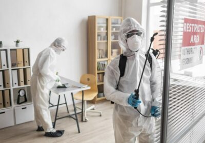 Top Pest Control Services in Ahmedabad | OyeBusy