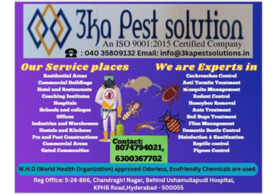 Pest Control Services in Kukatpally, Hyderabad | 3ka Pest Solutions