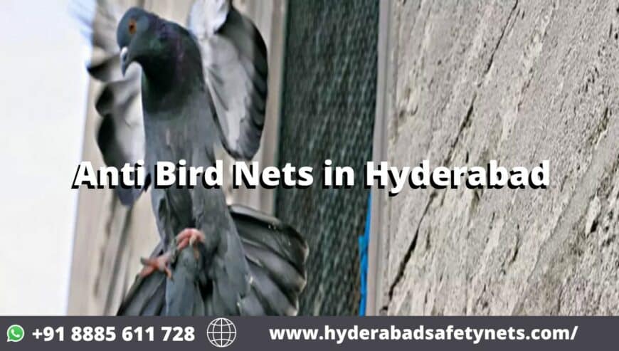 Anti Bird Net For Balcony Near Hyderabad | Philips Enterprises