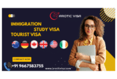 Best Study Visa Consultants in Ireland | Arotic Visa