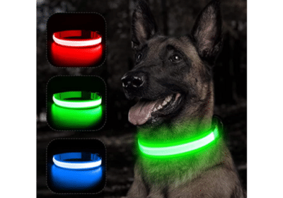 Buy LED Glowing Dog Collar | The Zohaib Pet Care