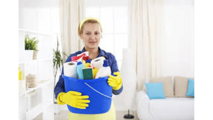 Exterior House Cleaning in Auckland | Life Maid Easy