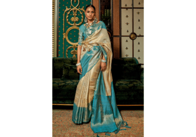 Information About Kanjivaram Sarees | EleganttDrapes.com