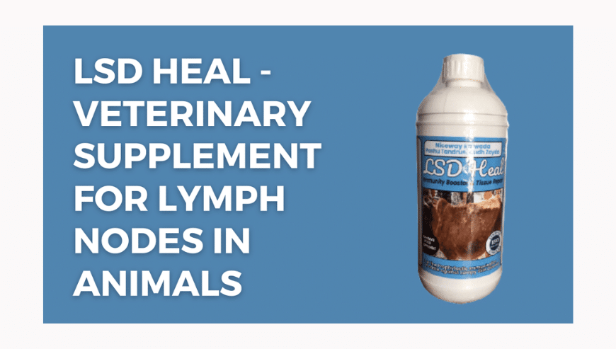 LSD Heal - Veterinary Supplement For Lymph Nodes in Animals By Niceway India