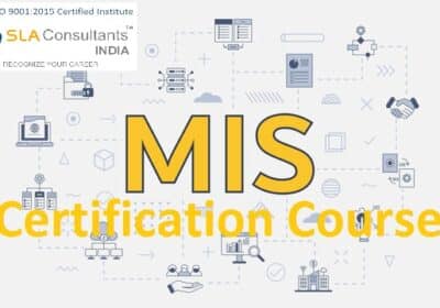 MIS Institute in Laxmi Nagar, Delhi | SLA Analytics Institute