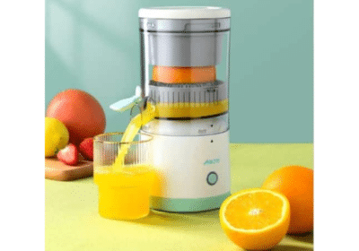 Mini-Electric-Fruit-Mixer