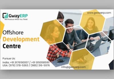 Leading Customized ERP Software Development Company | GwayERP
