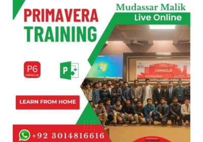 Primavera P6 Training Online & Physical Classes