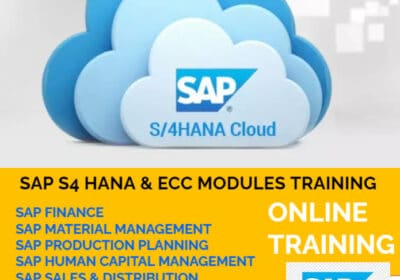 SAP-S4-HANA-ECC-TRAINING