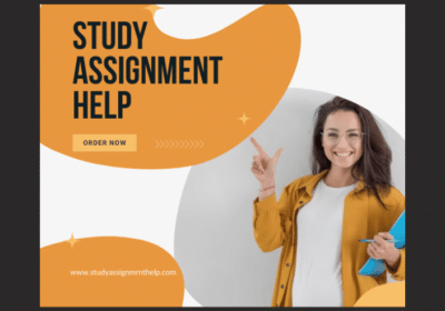 Looking For Study Assignment Help in UK By Experts?