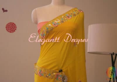 Buy Organza Sarees Online | EleganttDrapes.com