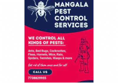 Mangala Pest Control Services in Mumbai