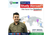 Best Overseas Education Consultants in Delhi | Stamp Visa