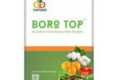 Buy Best Quality Micronutrient Fertilizer in India | TopGro