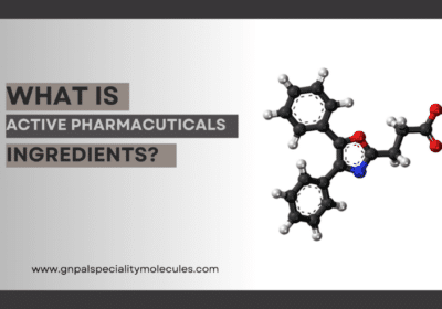 What is Active Pharmaceuticals Ingredients? GN Pal Speciality Molecules LLP