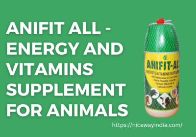 Anifit All – Energy and Vitamins Supplement For Animals | Niceway India