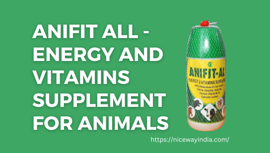 Anifit-All-Energy-and-Vitamins-Supplement-for-animals
