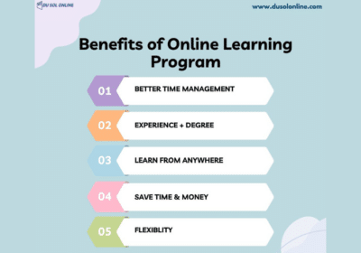 Best Distance Learning and Online Courses in India | Du Sol Online