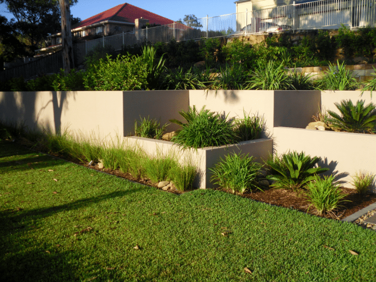 Best Garden Clean Up in North Brisbane | C Price Landscapes
