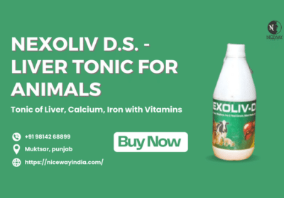 Best Liver Tonic For Animals – Nexoliv D.S.