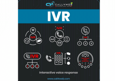 Multilevel IVR Solutions | Call4web