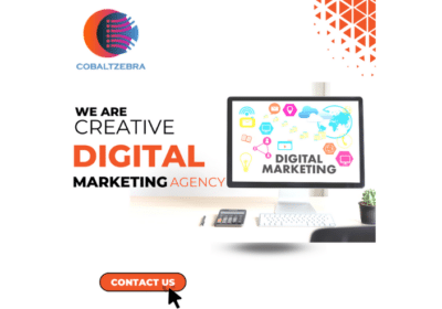 Digital Marketing Service in Delhi | Digital marketing Agency in Delhi | Cobalt Zebra