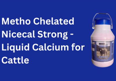 Metho Chelated Nicecal Strong – Liquid Calcium For Cattle By Niceway India