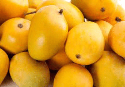 Online-Mango-Delivery-Service-in-Hyderabad-Mangoes-Basket