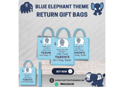 Buy Wedding Return Gift Bags Online | Party Suppliers India