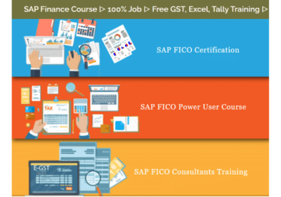 SAP FICO Institute in Delhi, Noida | SLA Institute
