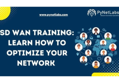 Transform Your Career with SD-WAN Training | PyNetLabs