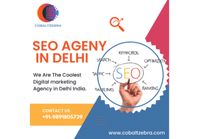 Best SEO Agency in Delhi India | CobaltZebra