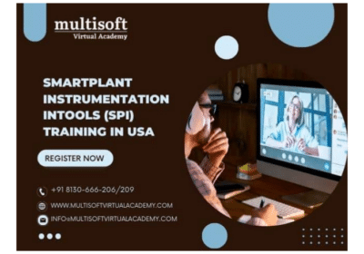 Smart Plant Instrumentation INtools (SPI) Training in USA | Multisoft Virtual Academy
