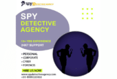 Spy-Detective-Agency