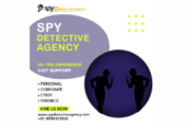 Spydetectiveagency