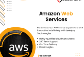 Unleash Innovation & Efficiency With AWS Cloud Services | Leelajay Technologies