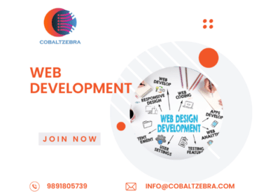 Web Development Company in Delhi NCR | Cobalt Zebra