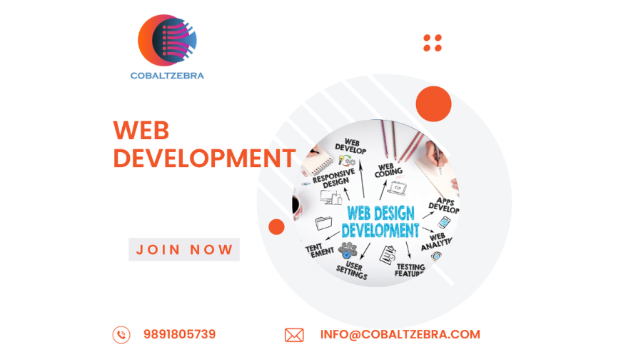 Web-Development-Company-in-Delhi-NCR-Cobalt-Zebra