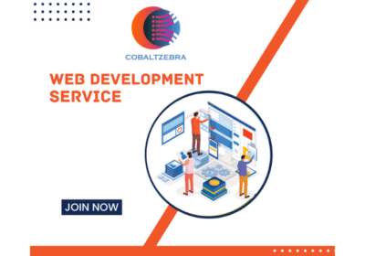 Web Development Service in Pitampura, Delhi | Cobalt Zeebra