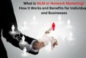 What-is-MLM-or-Network-Marketing-How-it-Works-and-Benefits-for-Individuals-and-Businesses-MLM-Diary