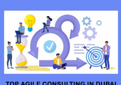Top Agile Consulting in Dubai – The Better Organizational Growth with Benzne